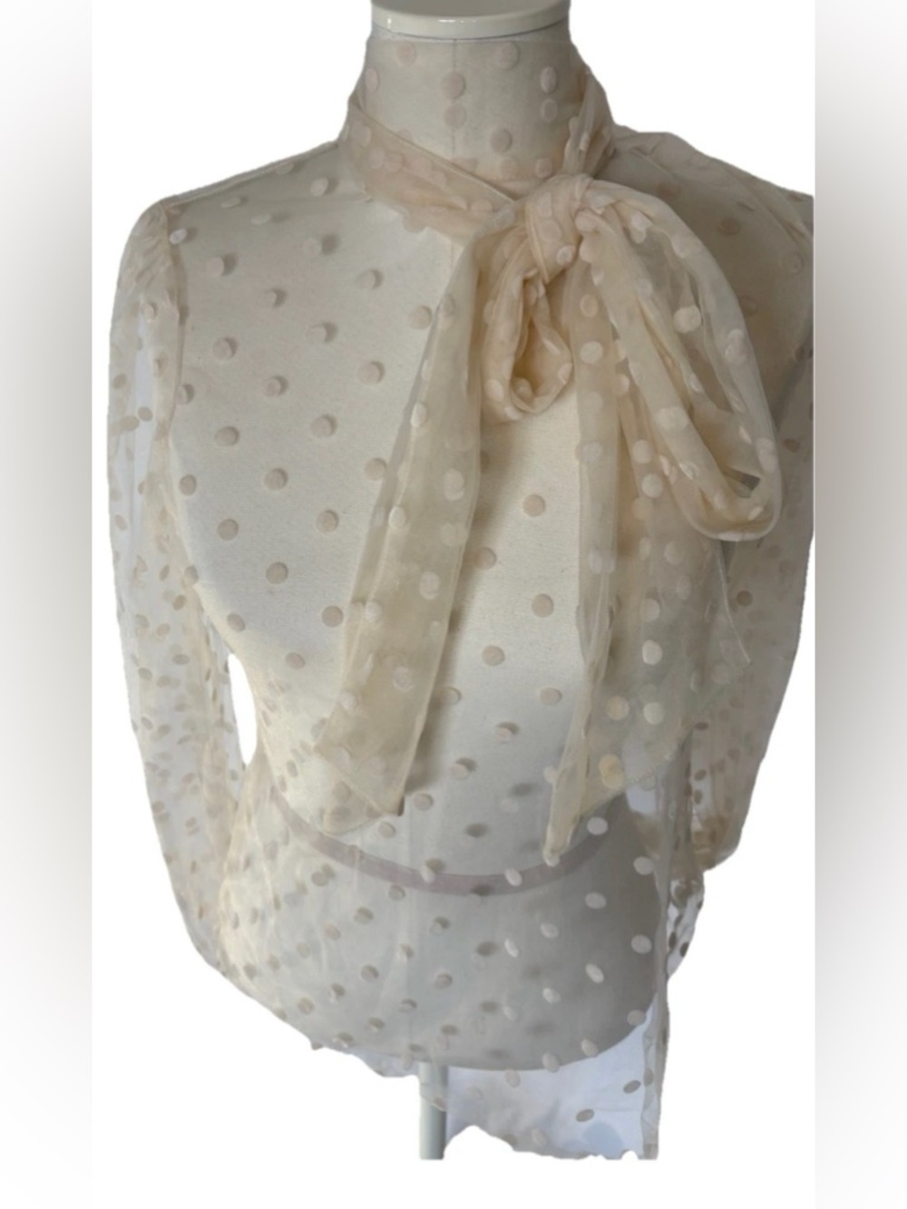 Banana Republic Sheer Tulle Polka Dot Mock Neck Blouse With Bow Tie Cream Small